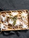 싱싱한 활 쭈꾸미 500g