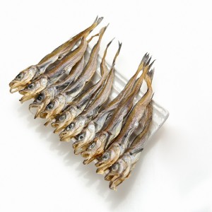 줄노가리 80급(24-27cm) 특대 10미