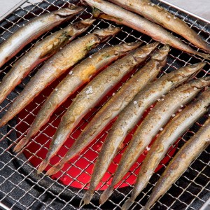 알배기 열빙어 특대 1kg