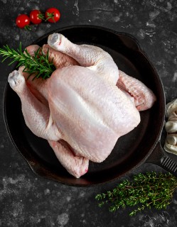 [늘품] 백숙용 토종닭 1,2kg