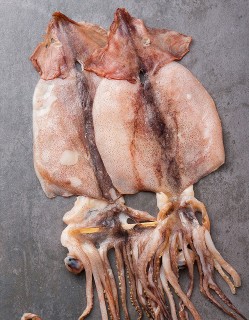 반건조 오징어 2마리