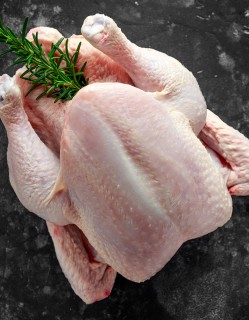 국내산 토종닭 1.5kg