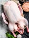 국내산 통오리 냉장육 2.2kg