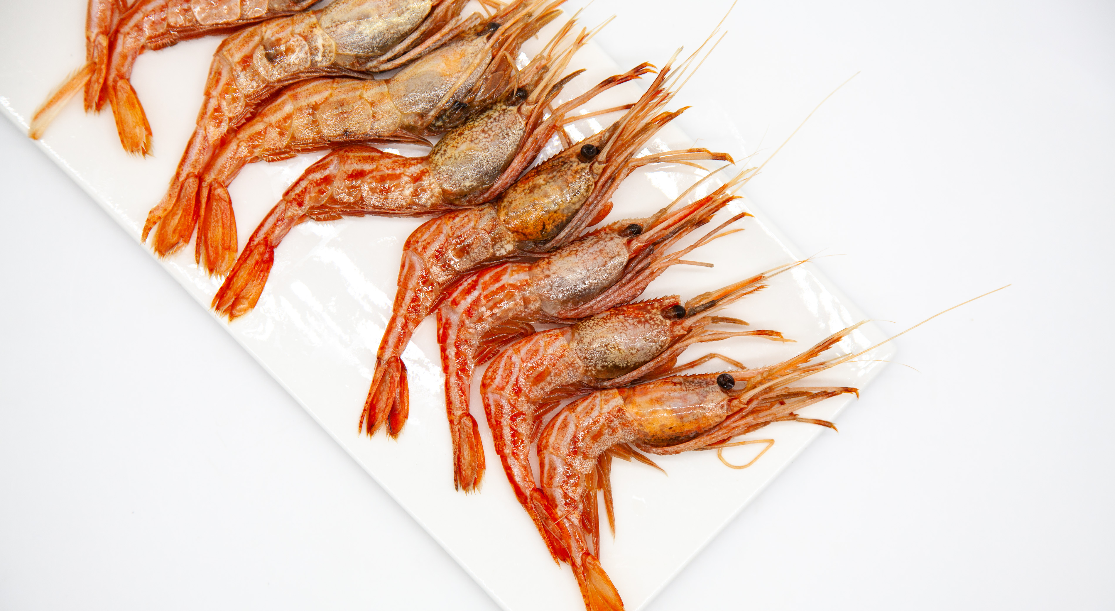 국내산 독도새우 닭새우 급냉 500g