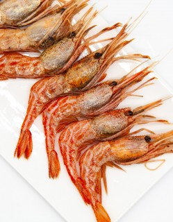 국내산 독도새우 닭새우 급냉 500g