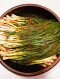 [밀키트]바로 버무리는 쪽파김치 700g