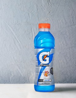게토레이 블루볼트 1.5L