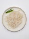 [찬찬수산] 한치채 몸살 물회용 200g (냉동)