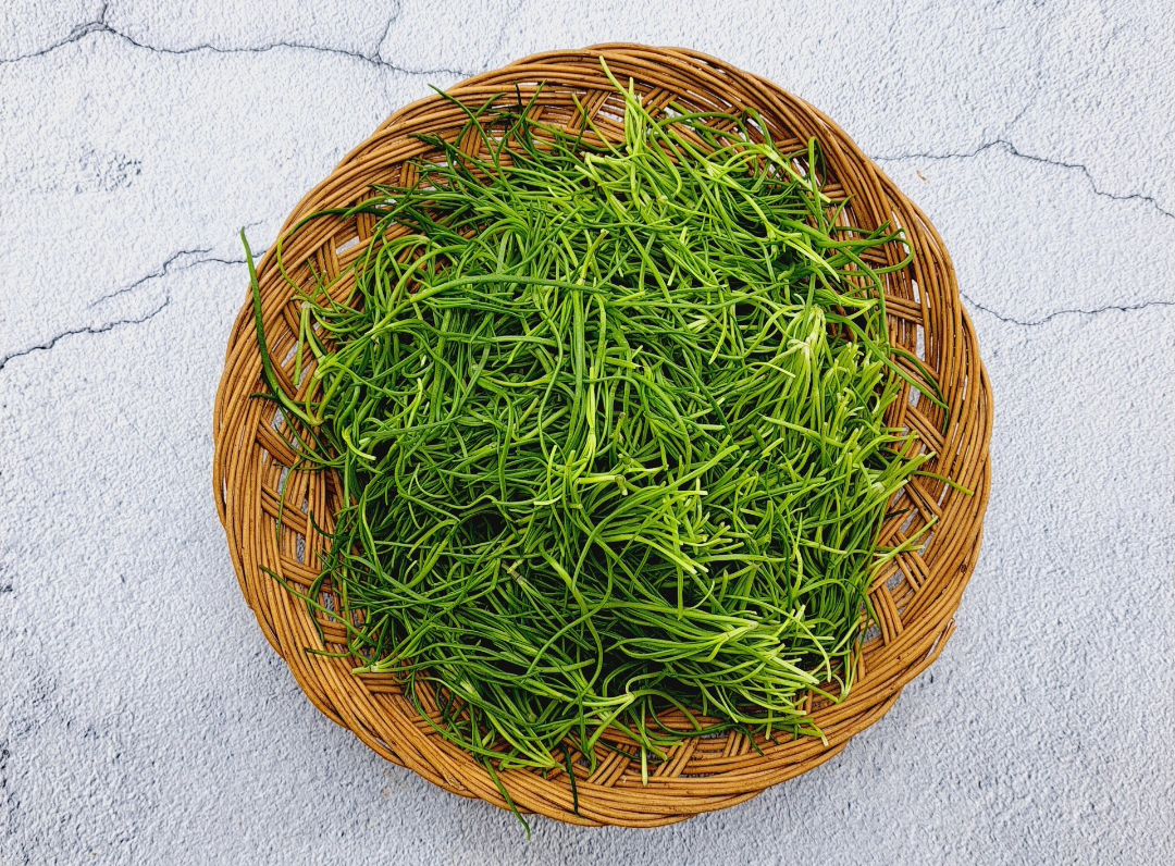 세발나물 150g