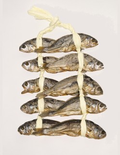법성포 보리굴비 (31cm 내외 10미)