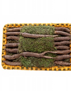 강원도 더덕 선물세트 1kg