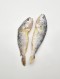 법성포 찐부세 보리굴비 특대1미 (31cm)